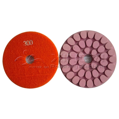 polishing resin pads